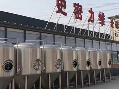 桑植精酿啤酒设备厂—市场规模与跨界新需求